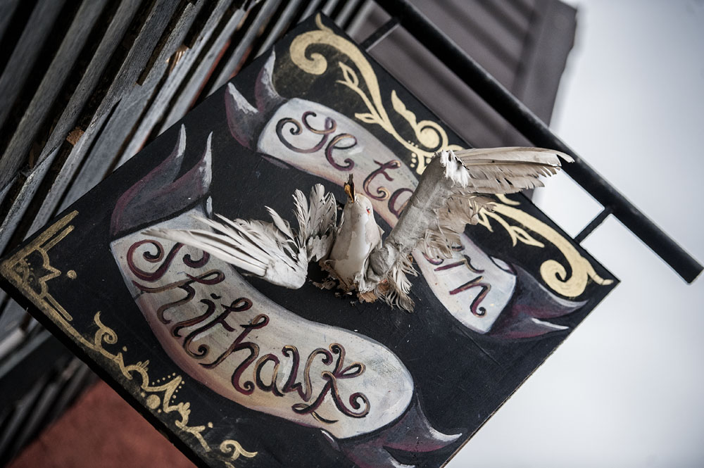 Boomtown Fair 2015