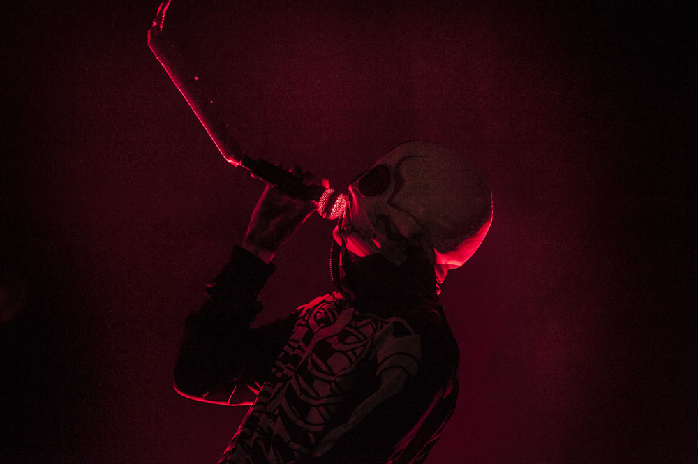 Twenty One Pilots in concert - Birmingham