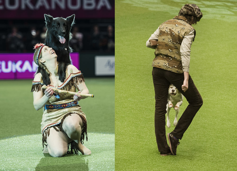 Crufts 2016 - Day 2