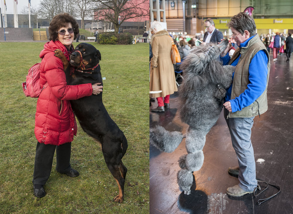 Crufts 2016 - Day 3