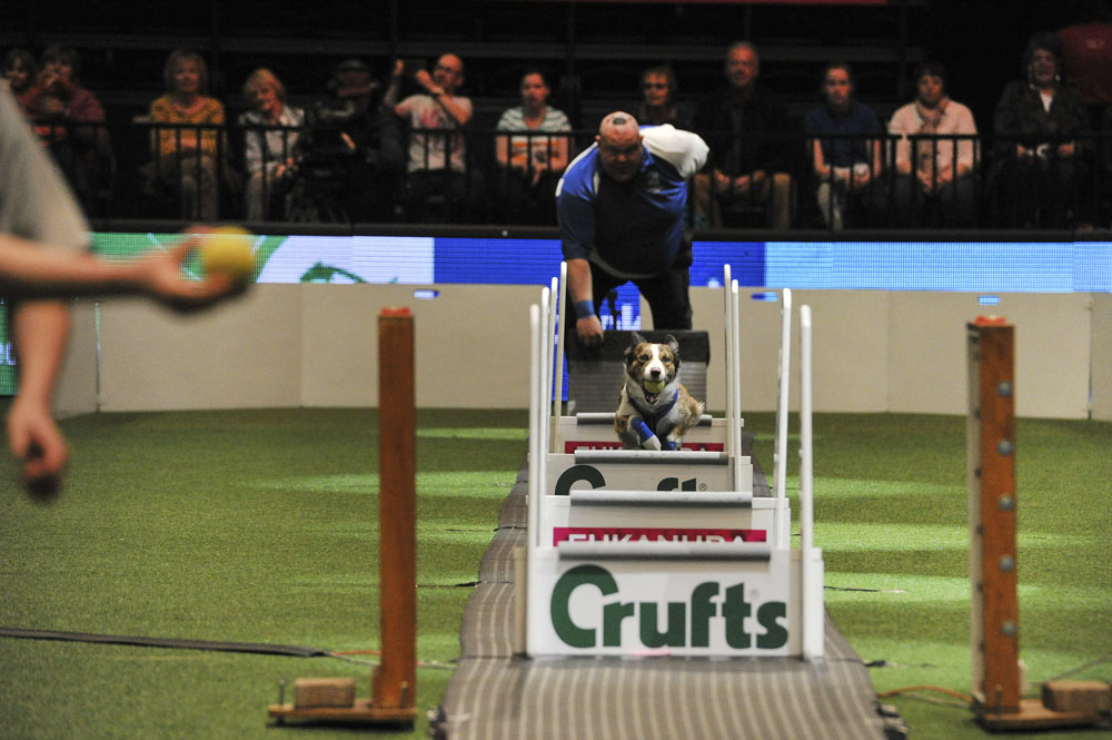 Crufts 2016 - Day 4