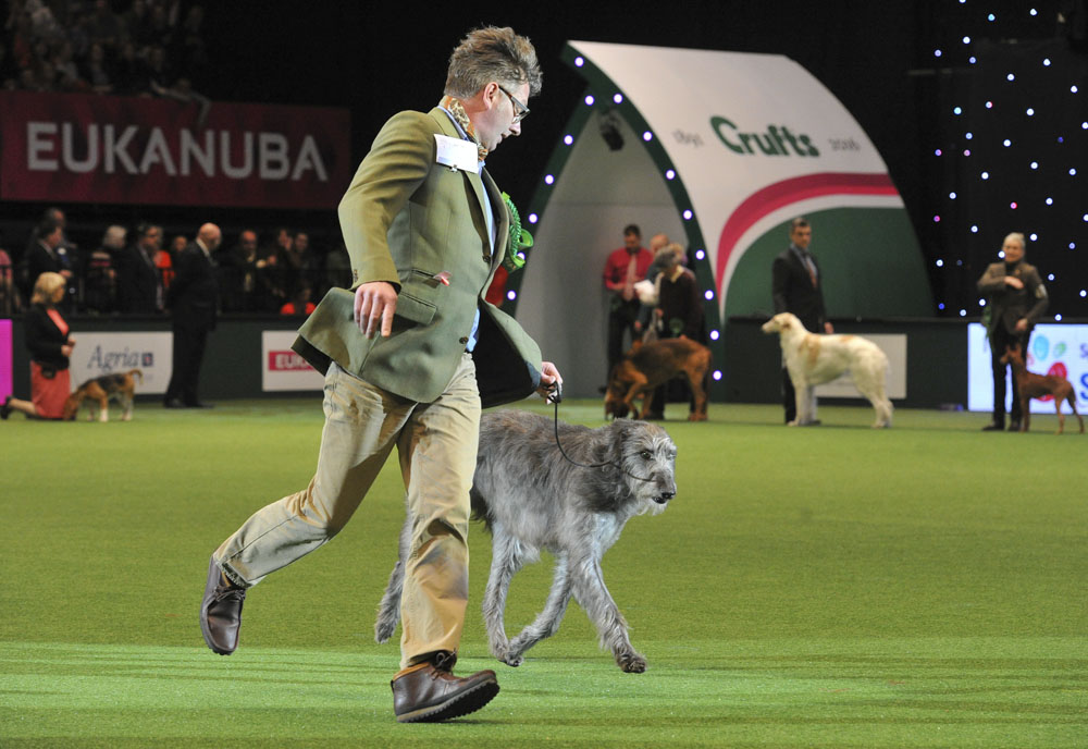 Crufts 2016 - Day 4