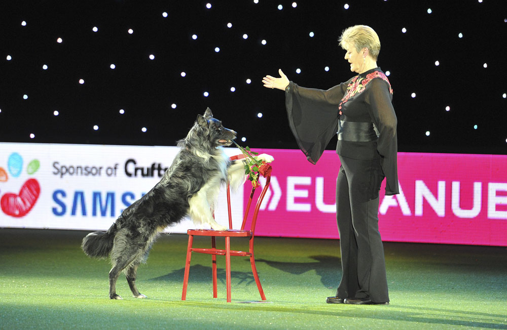 Crufts 2016 - Day 4