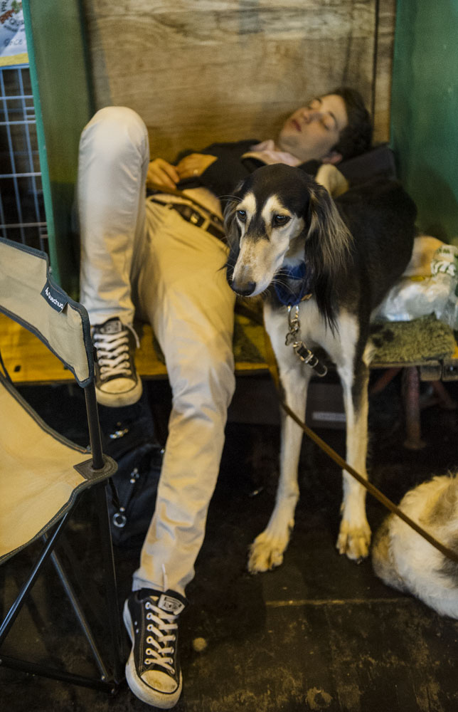 Crufts 2016 - Day 4