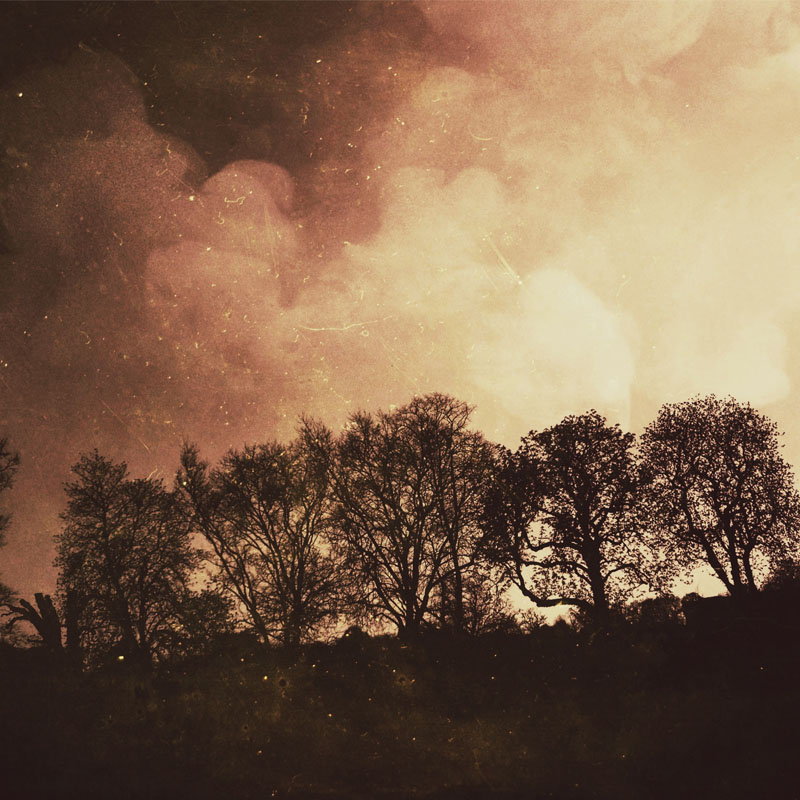 Wind Quartets
