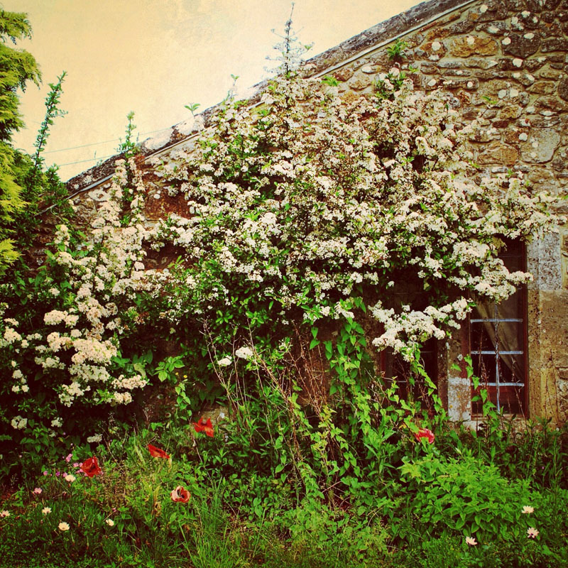 I look outside the little window of my world into the little window of yours