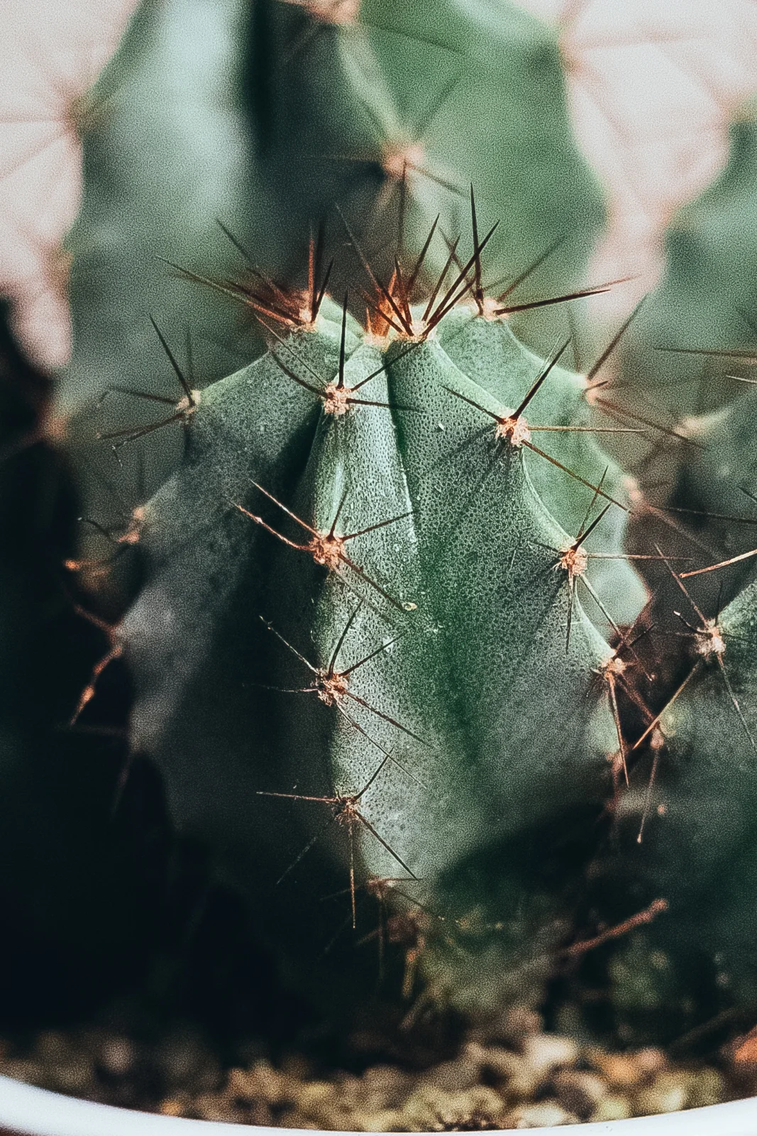 Dammmm! So so sharp!