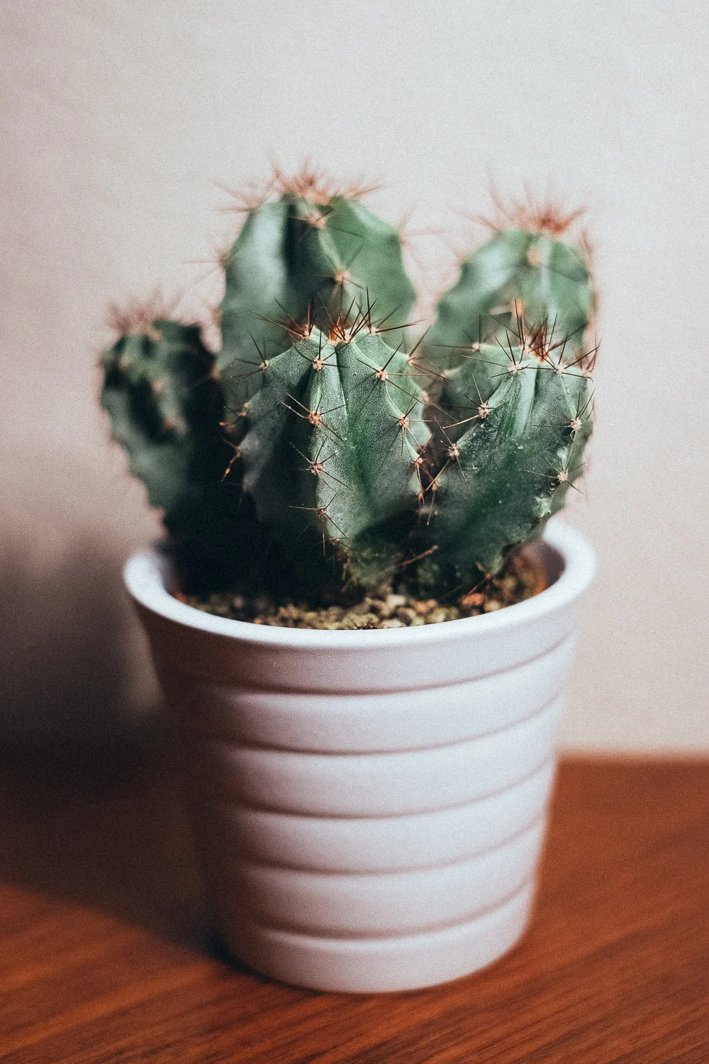 How I made this photo pt1