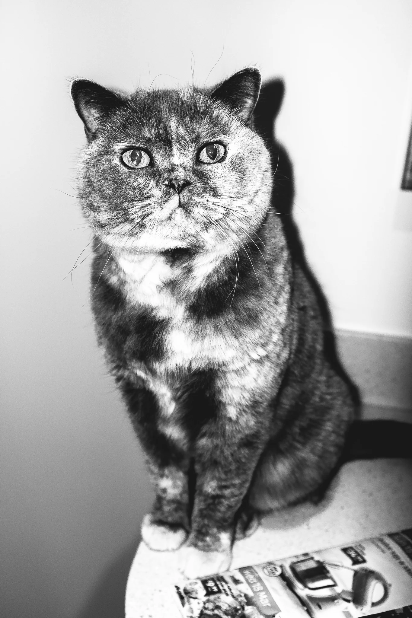 Document your life...