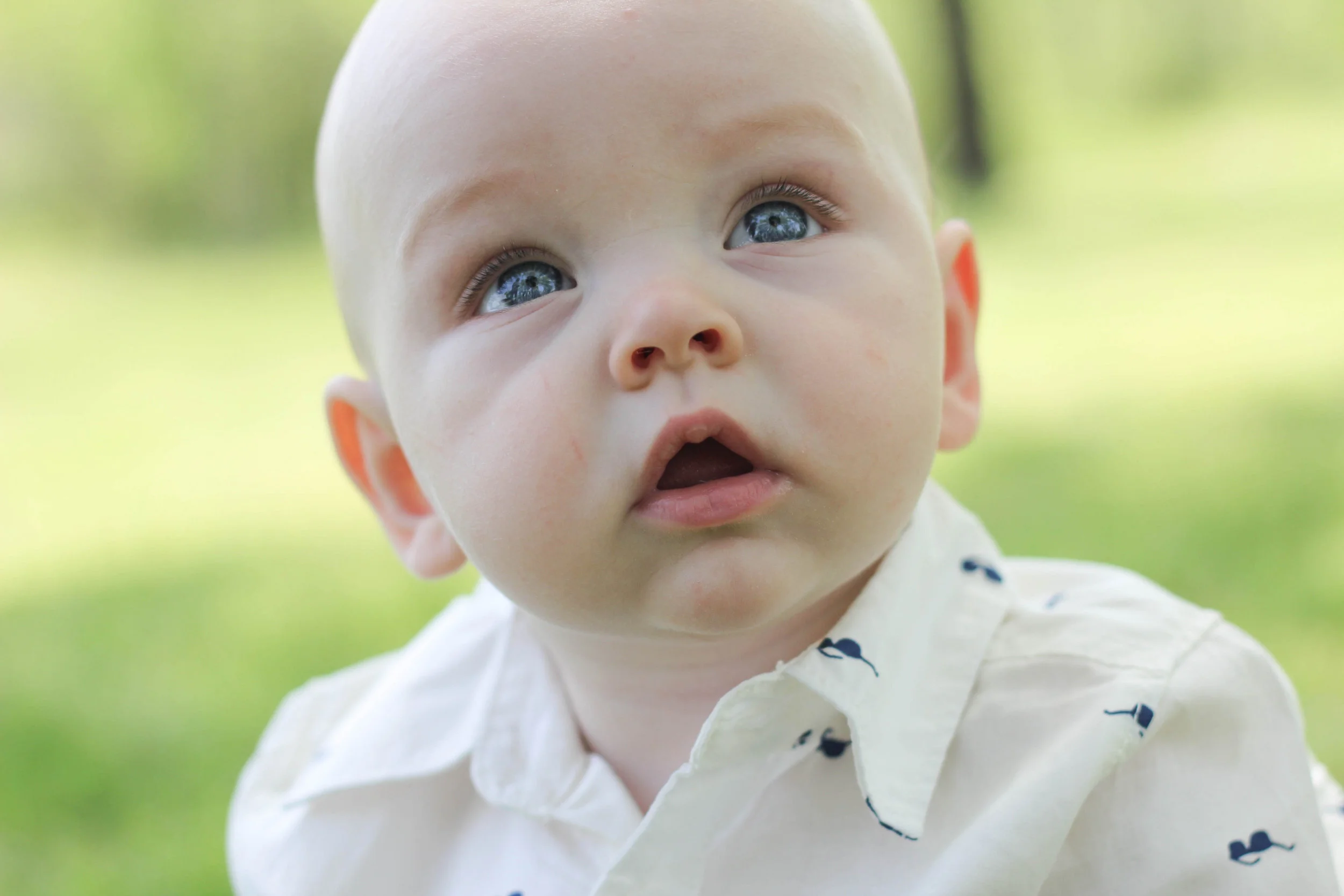 Oliver-Oliver-0003.jpg