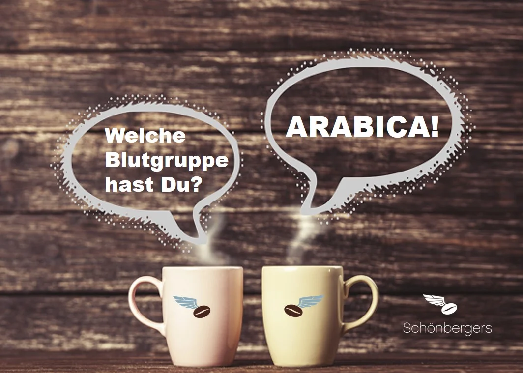 Blutgruppe Arabica.jpg