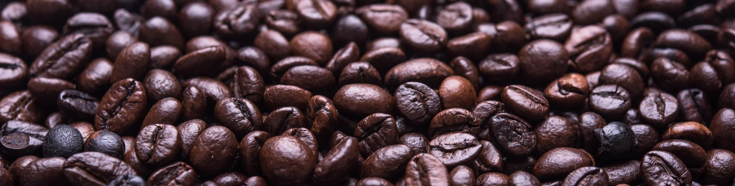 Bohnen Header schmal dunkel_Schönbergers Beans.jpeg