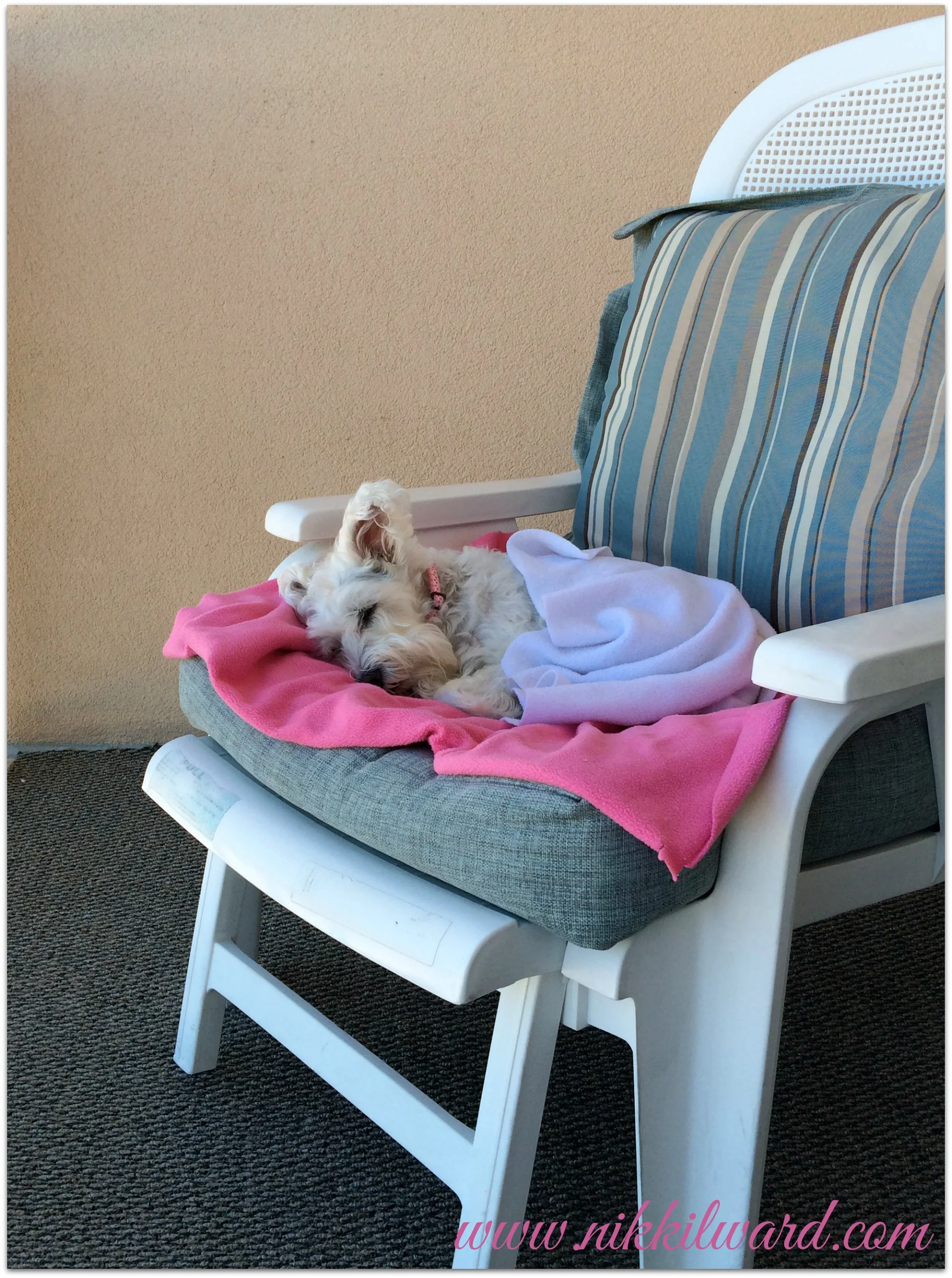 Naps are good after long walks on the beach.