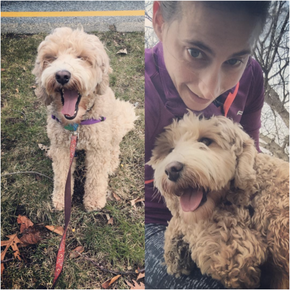 A casual 5K on the Boulevard with your pup. Just another day. Photo cred: Katie Coats