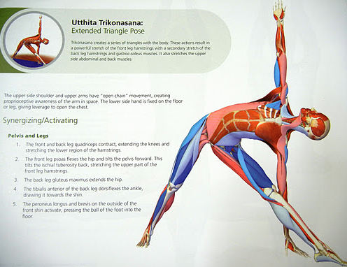 EXTENDED TRIANGLE POSE