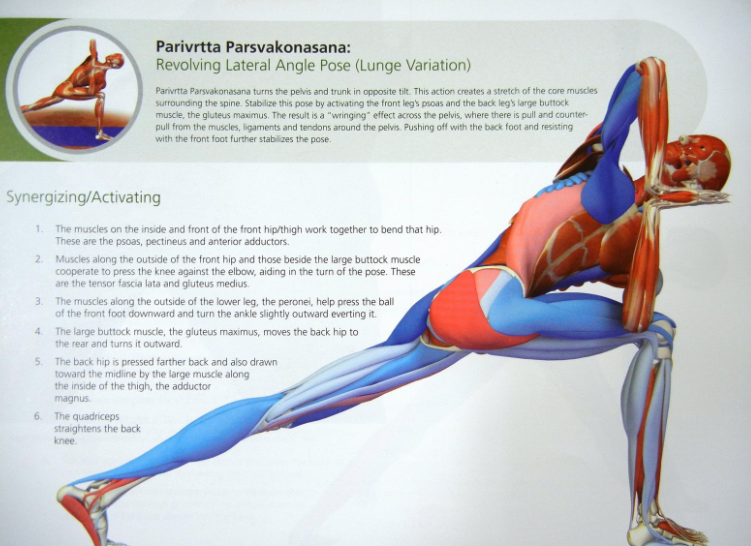REVOLVING LATERAL ANGLE POSE