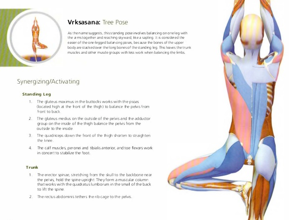 TREE POSE