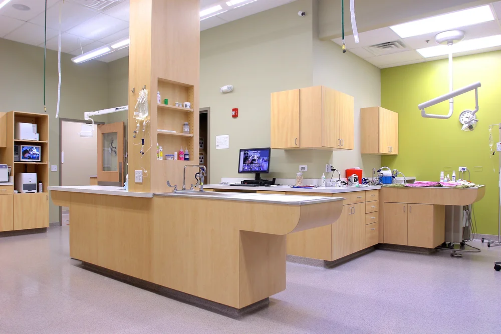 ANIMAL CARE Spaces for Healing