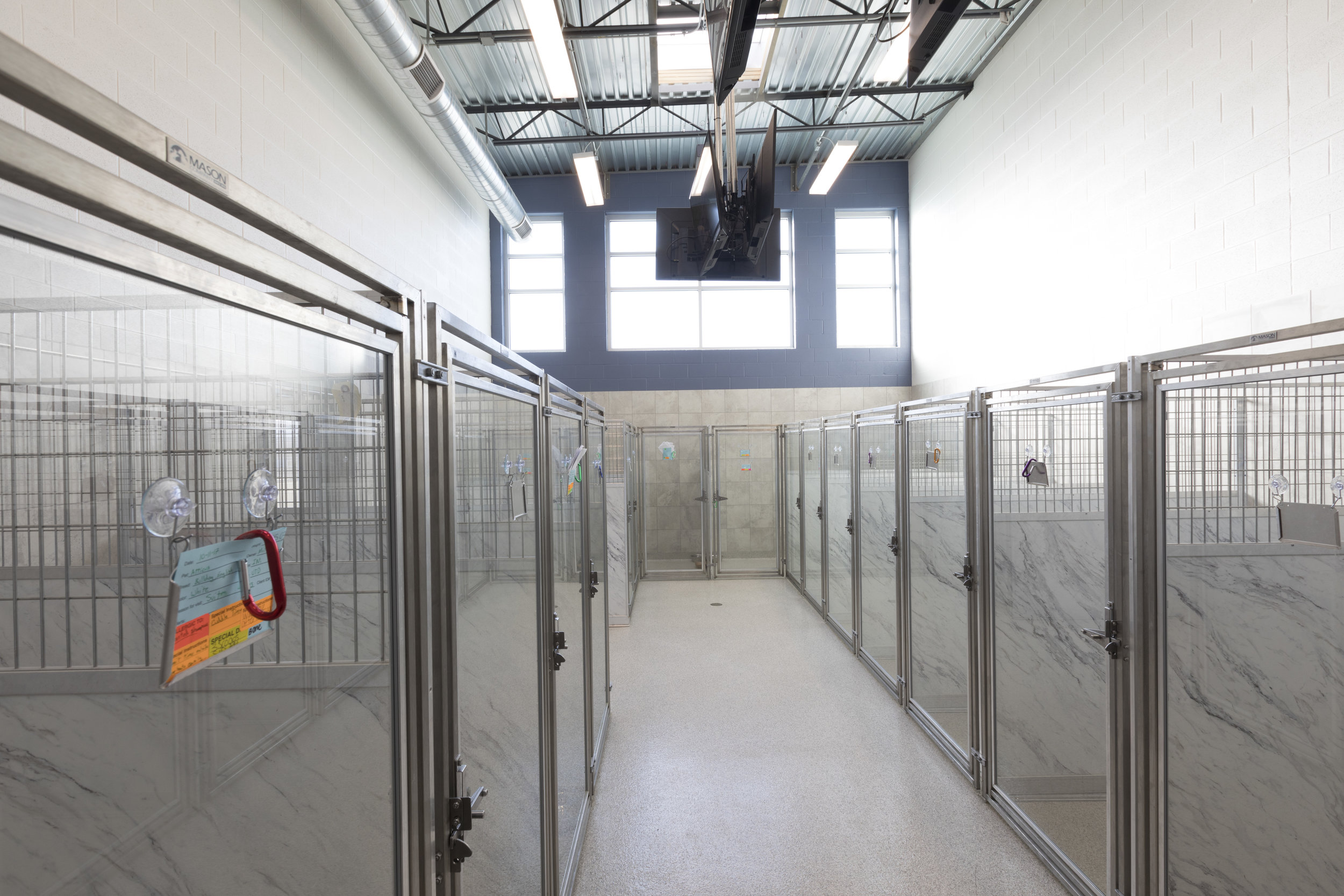   ANIMAL CARE   Spaces for Boarding 
