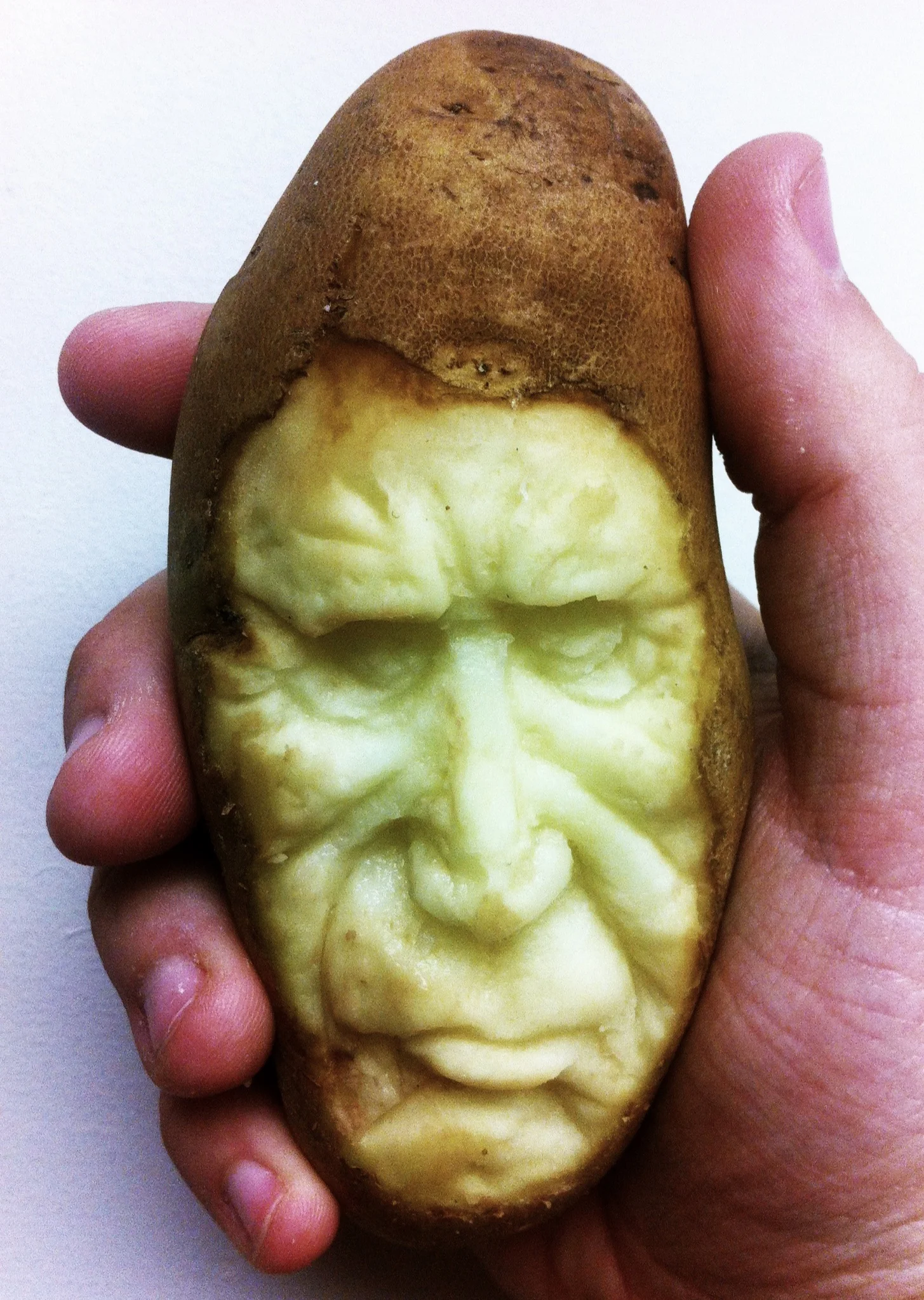 photo(20).JPG