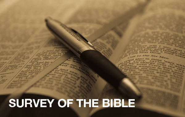 survey2.gif