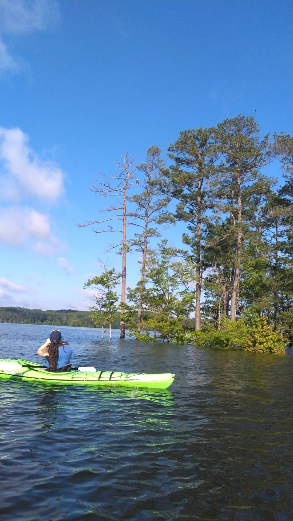 frog hollow outdoors durham nc on Jordan Lake Bald Eagle Paddles Frog Hollow Outdoors