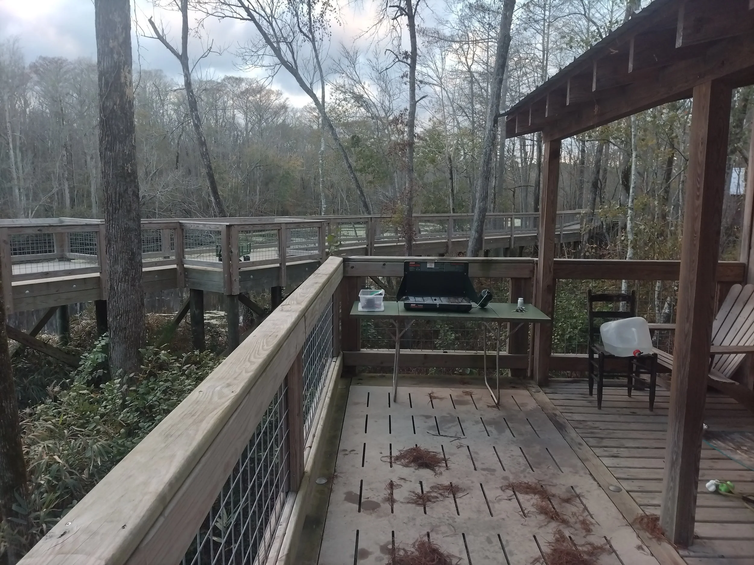 Cashie River Treehouse Overnight (Guided or SelfGuided) — Frog Hollow