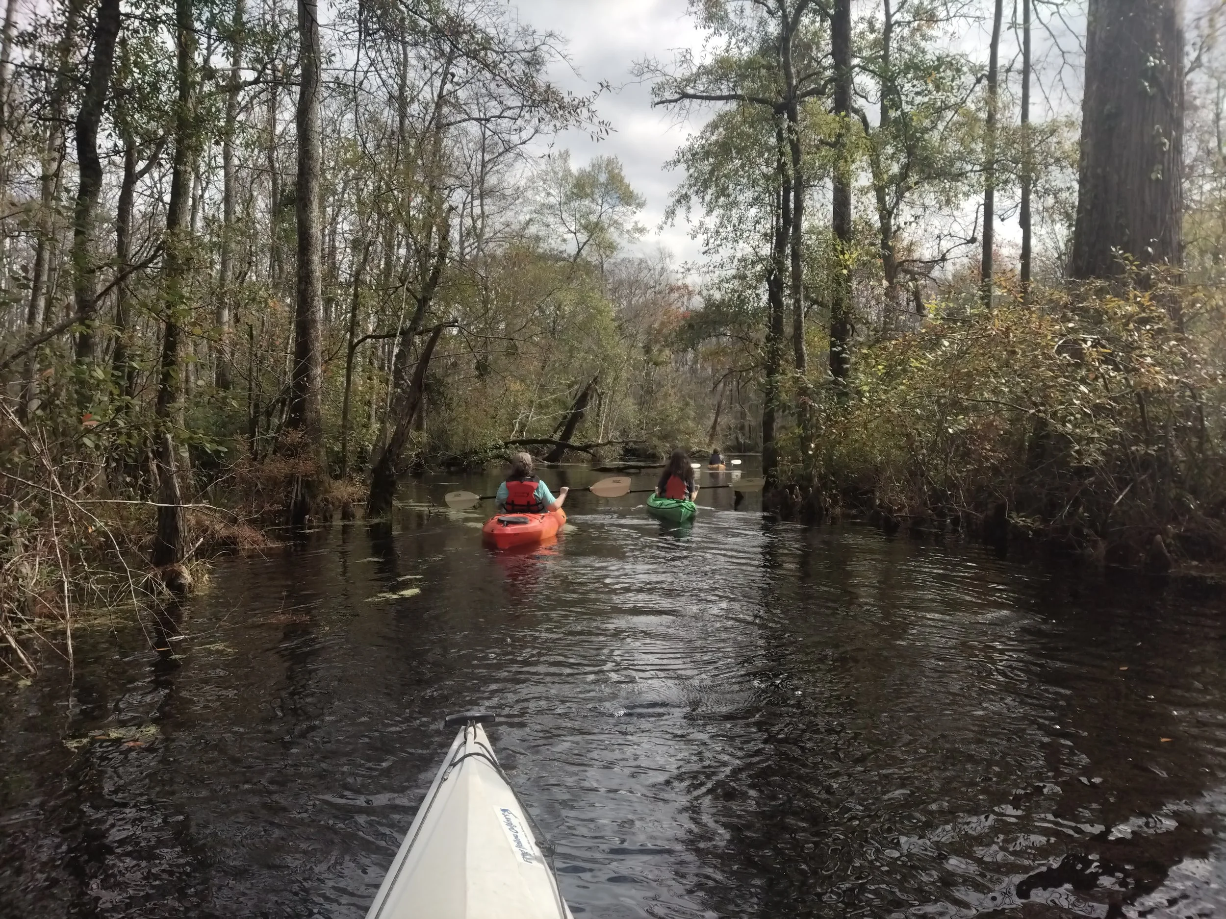 Cashie River Treehouse Overnight (Guided or SelfGuided) — Frog Hollow