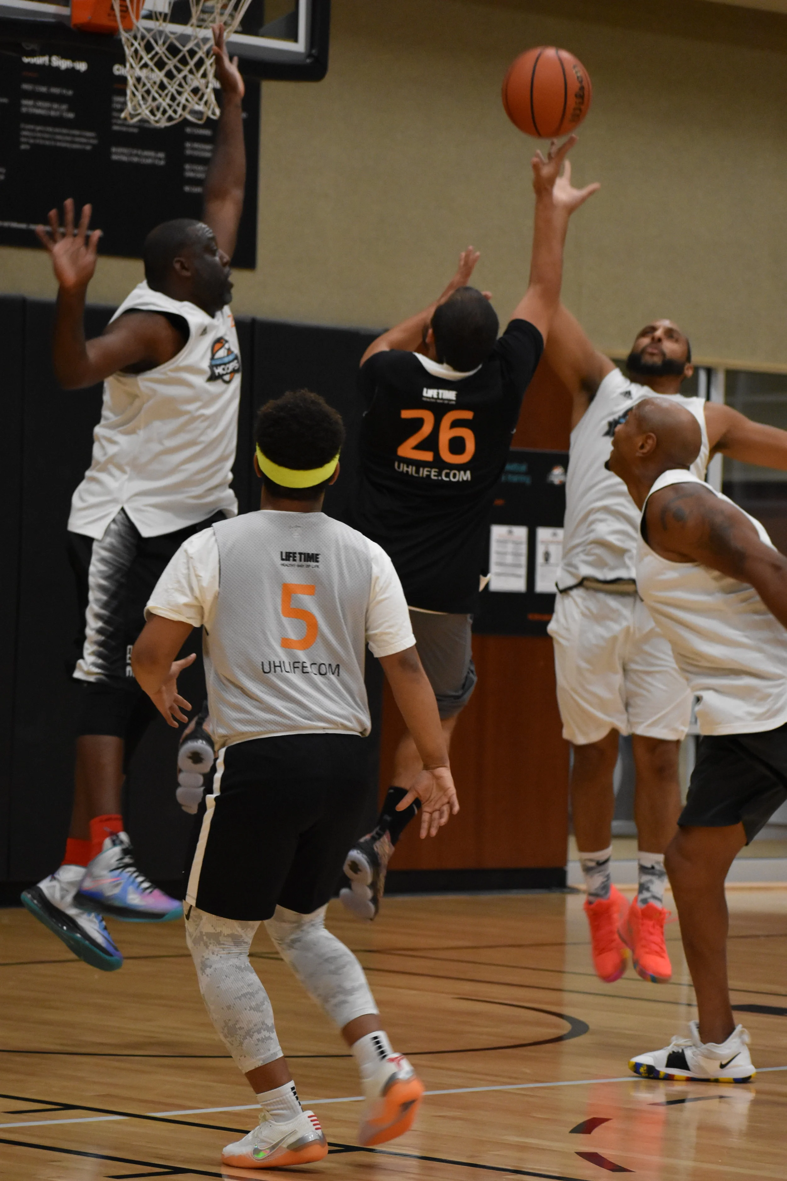 Pink Flamingos back to a Familiar Spot