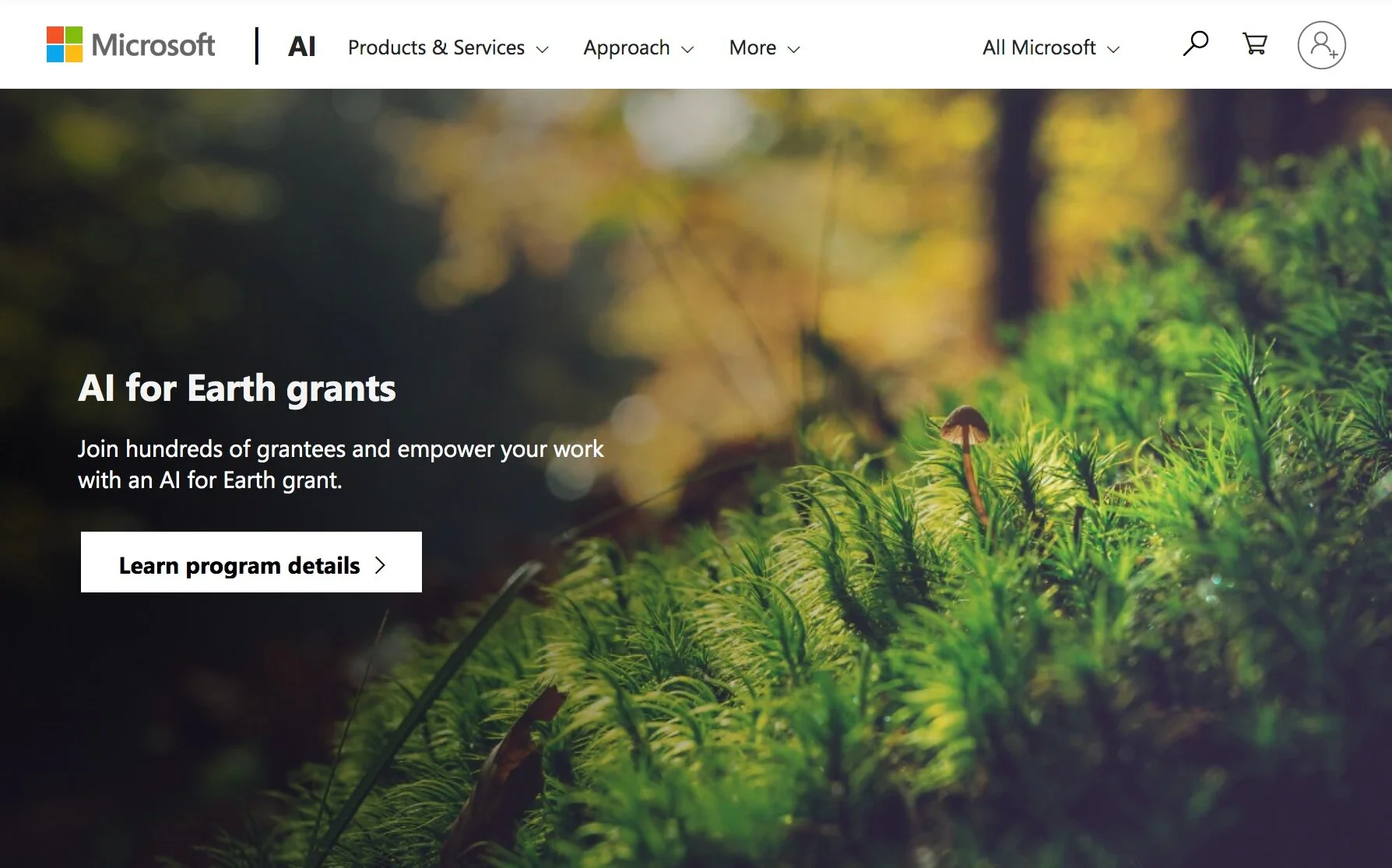 AI+for+Earth+Grant+announcement.jpg