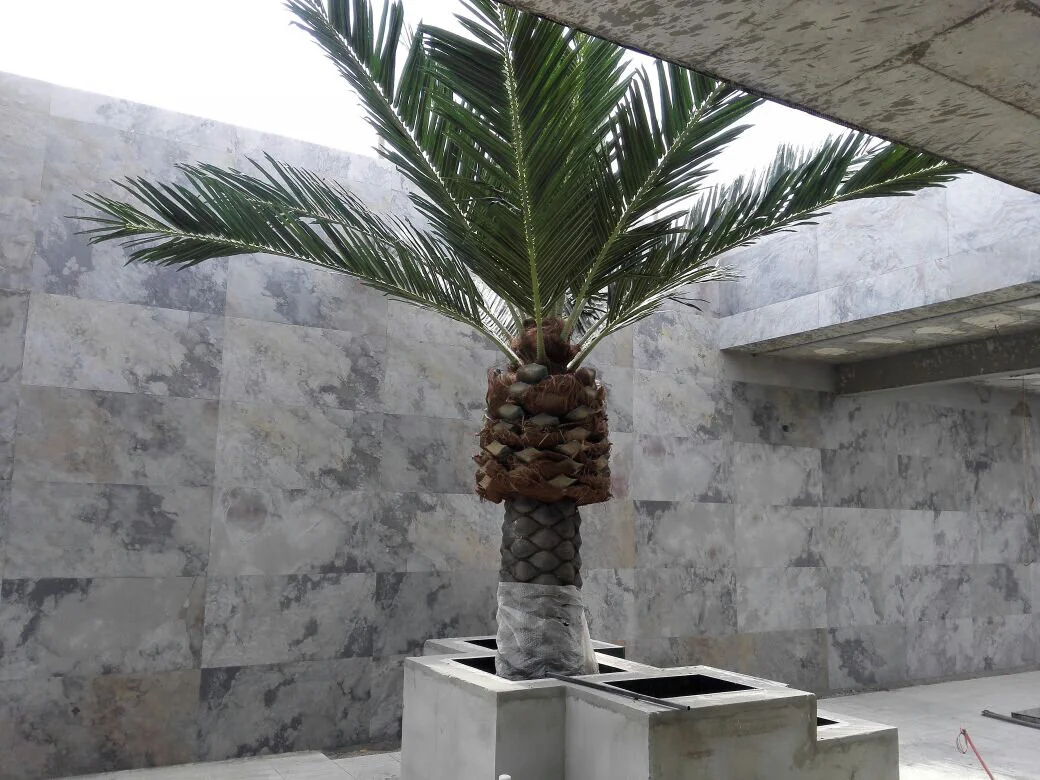  Sanjayani White TXTR-LITE Flexible Stone Veneer Atrium Wall 