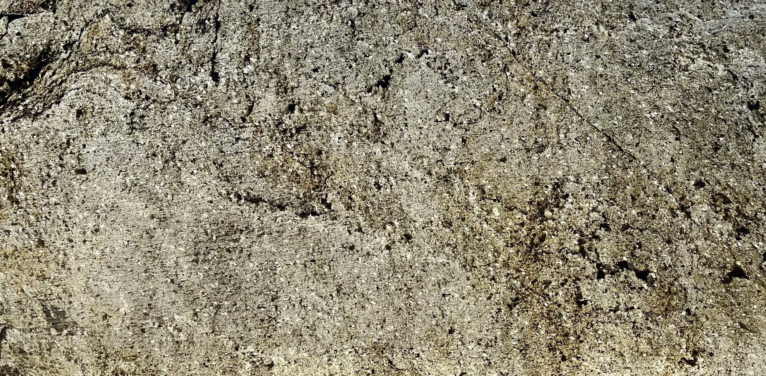 Dark Green Translucent