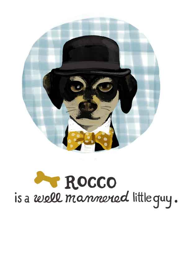 Meet Rocco!