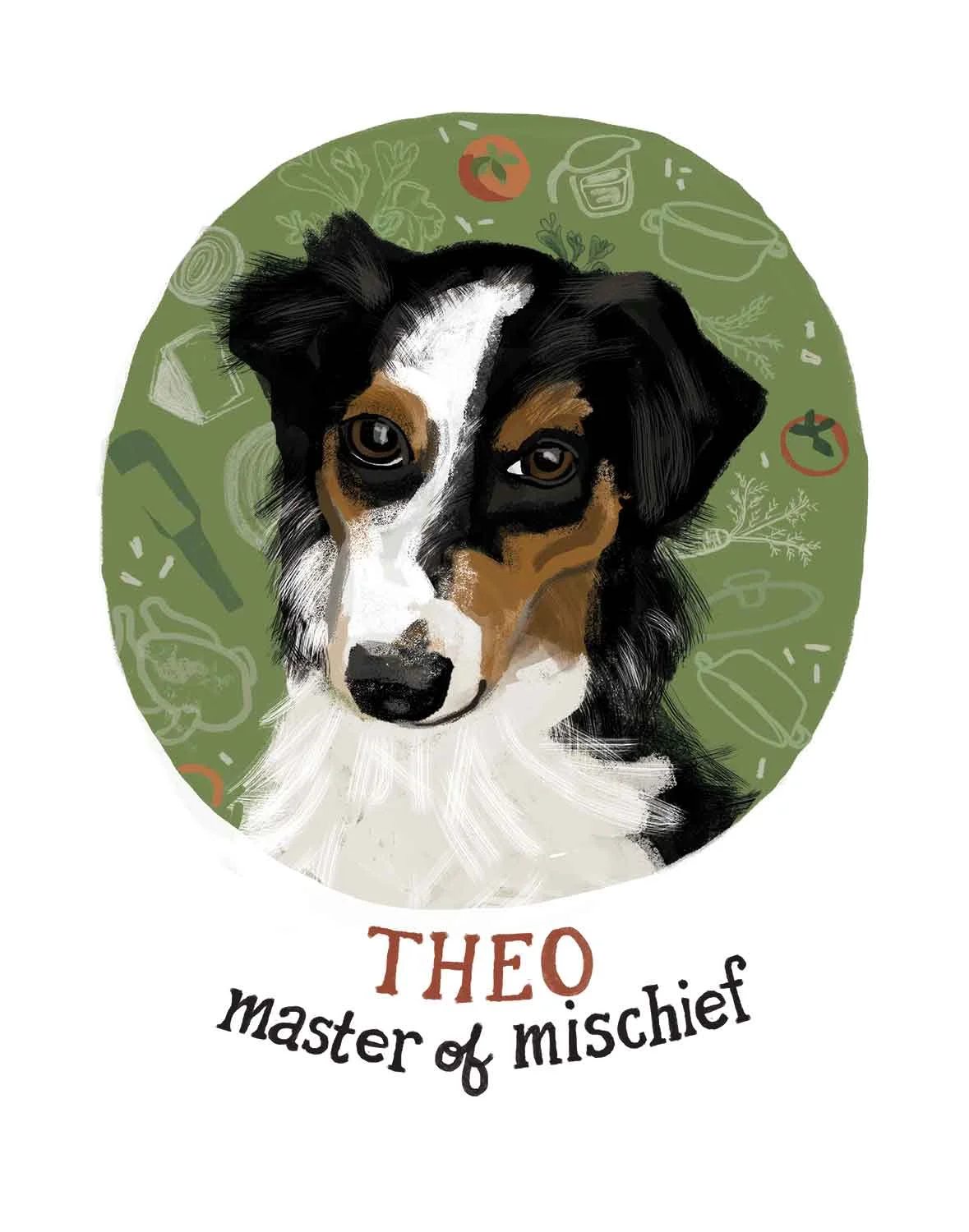 Theo, the Australian Shepherd