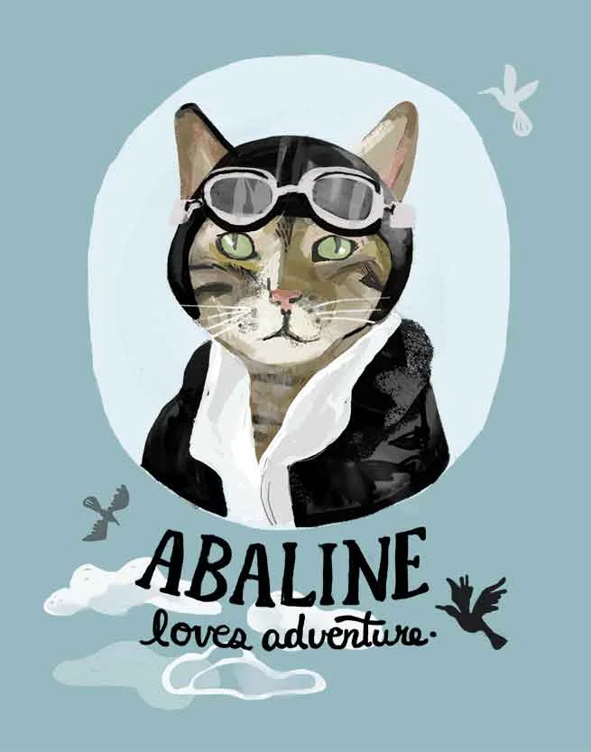 Adventurer Pilot