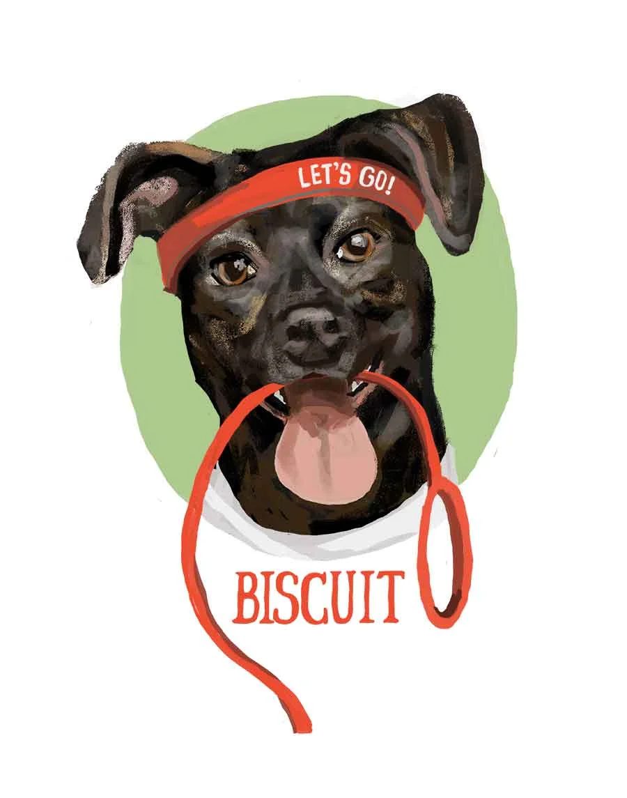 biscuit_lowres.jpg