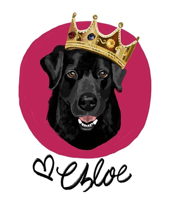 chloe_pink_lab.jpg