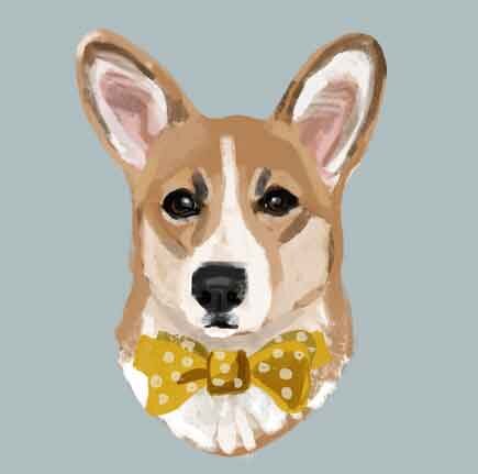 Corgi