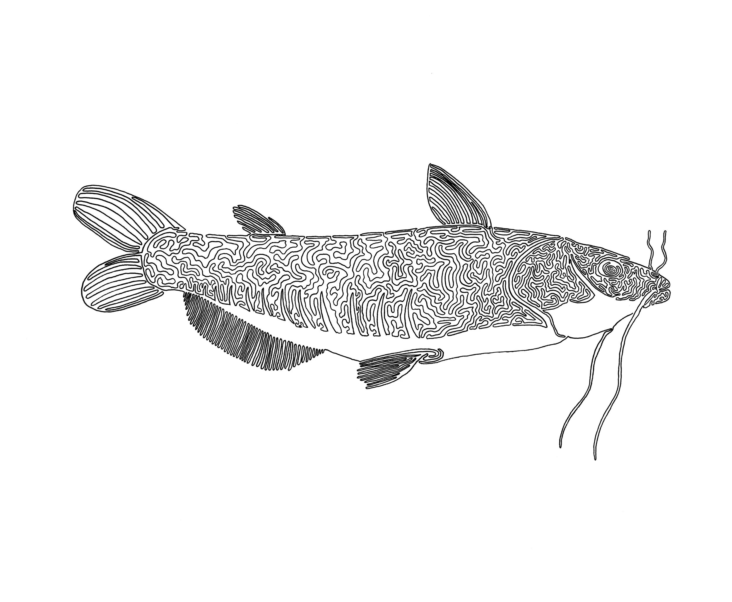 Catfish 14x17in, One Liner