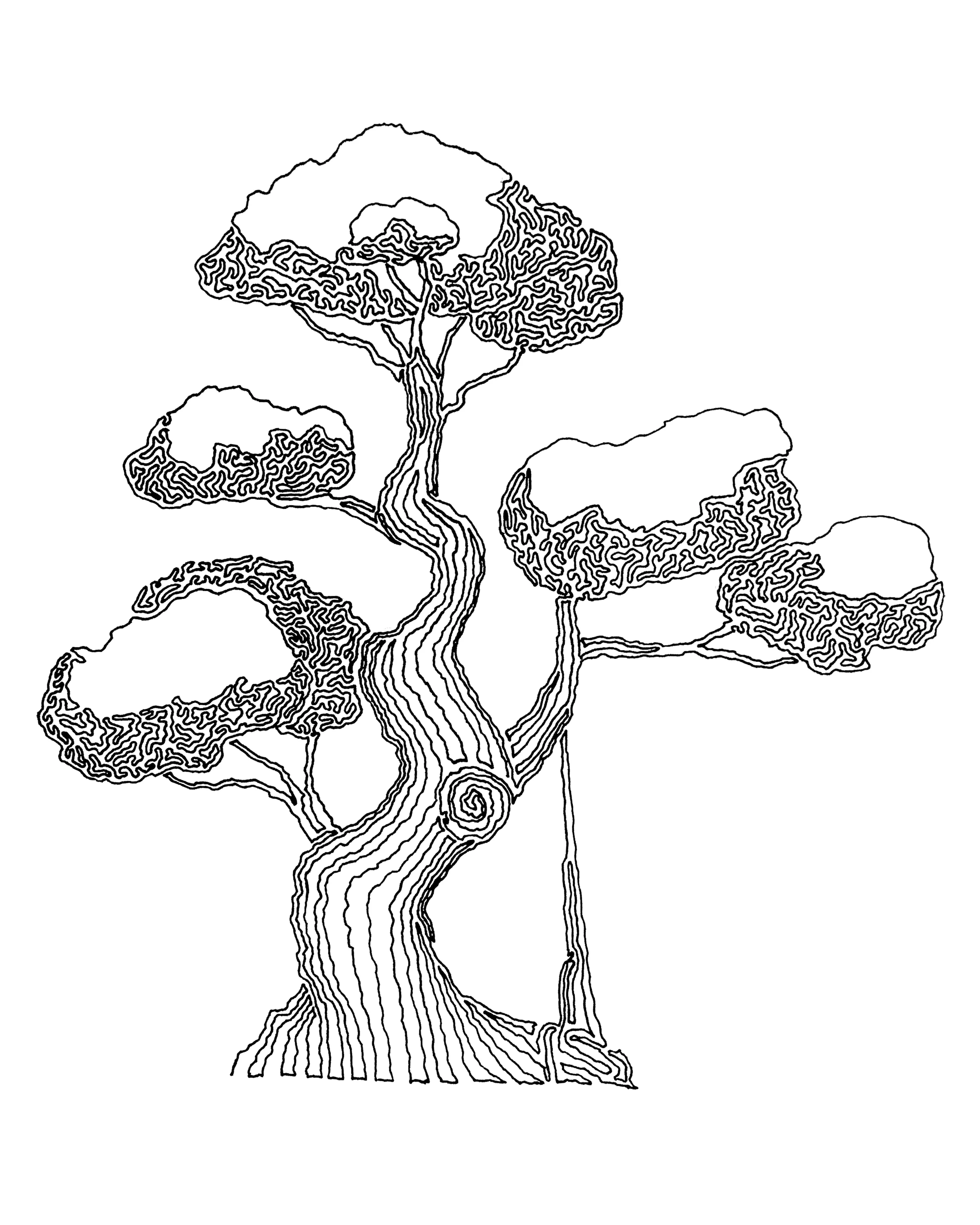 Bonsai 2, 8"x10" - 2015