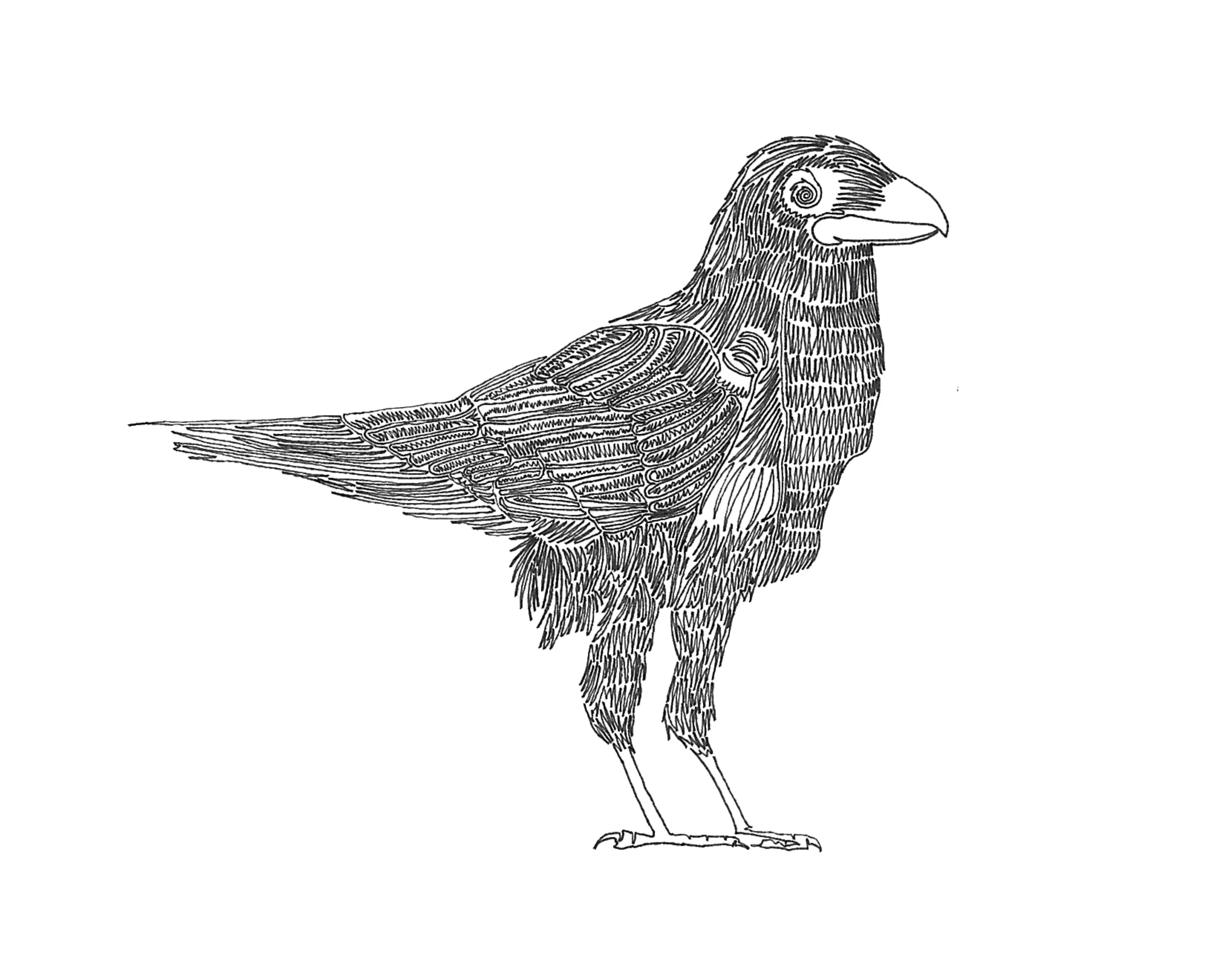 Crow - 10"x8"