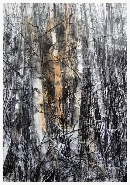 Series I - Washland Birches