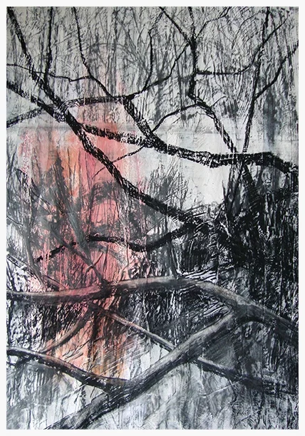 Series I - Washland River