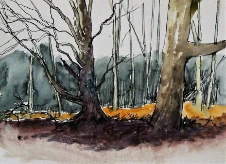 A Sense of Place (1)