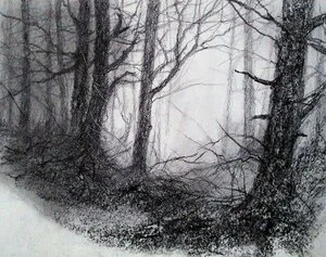 Memories of Trees