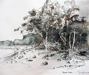 Shorelines