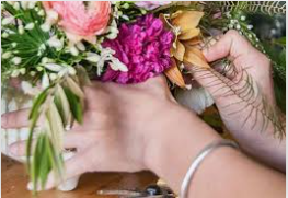 designers choice.PNG