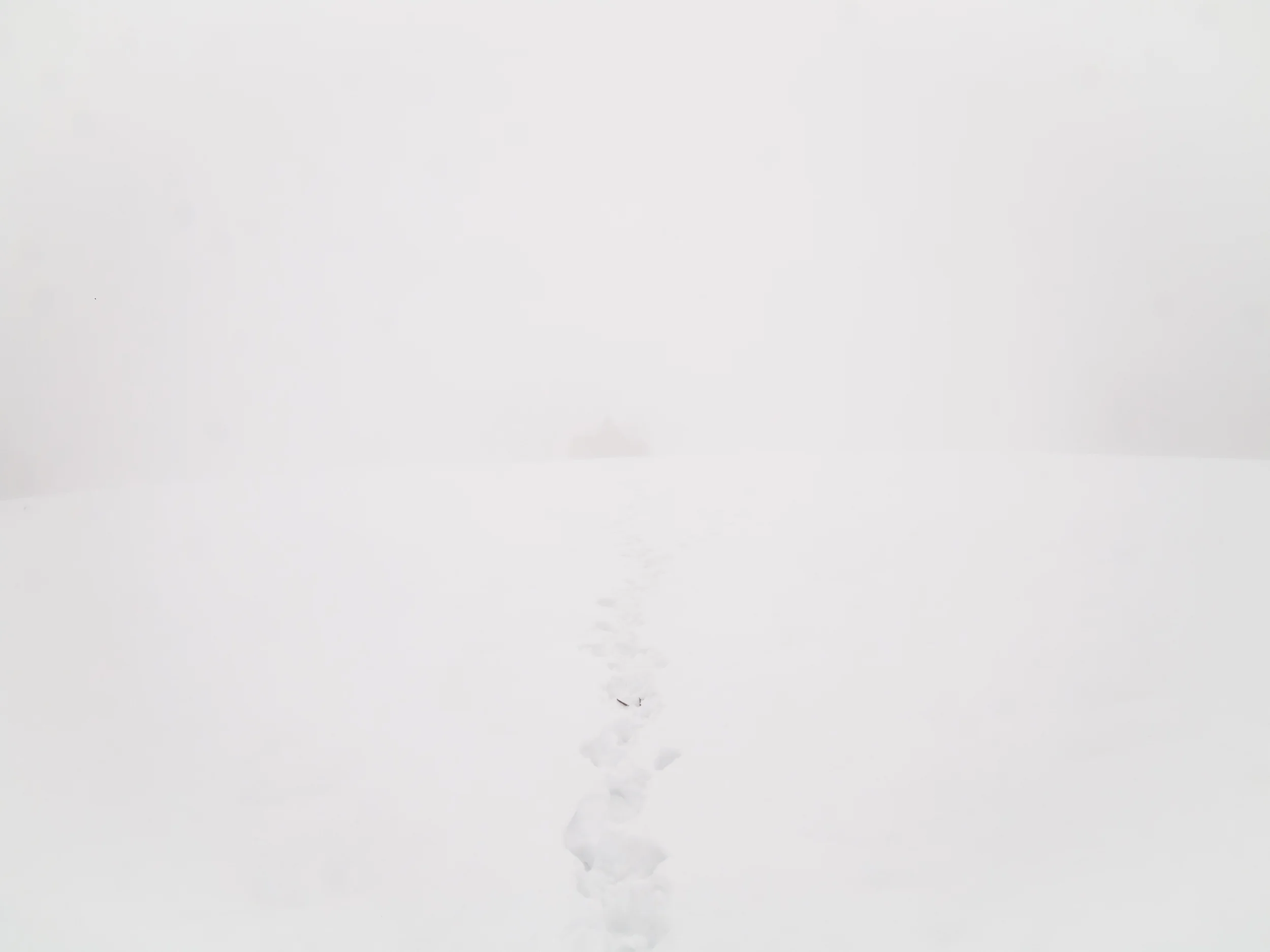 Shivananda_080304_0071.jpg