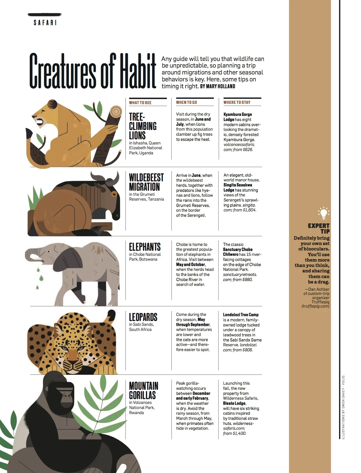 Safari Package 4.jpg