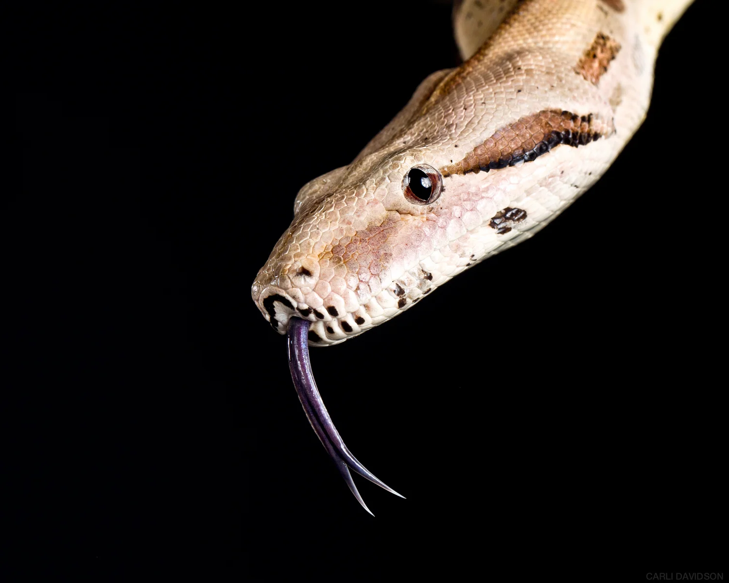 20120417-40734-Edit.jpg